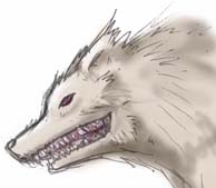 参考資料はエゾオオカミ