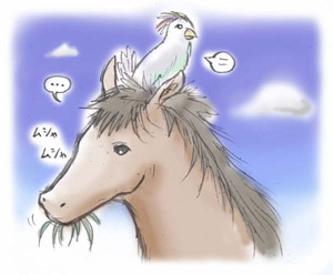 馬と鳥